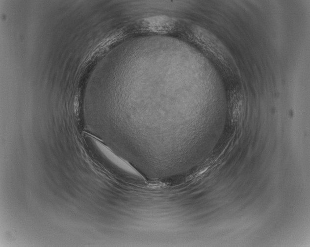 X0000085820595200703301555