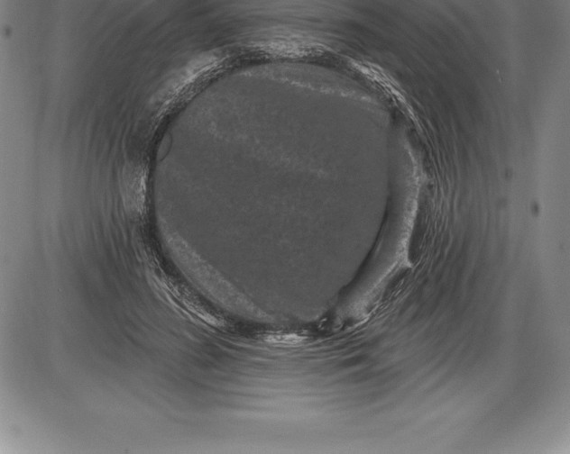 X0000085820596200703301555