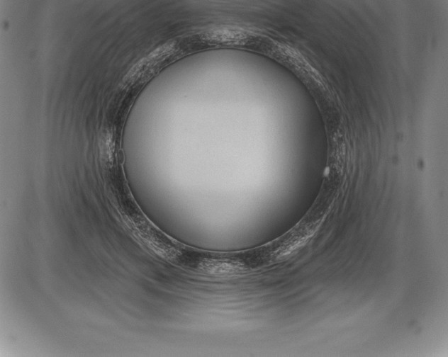 X0000085820597200703301555