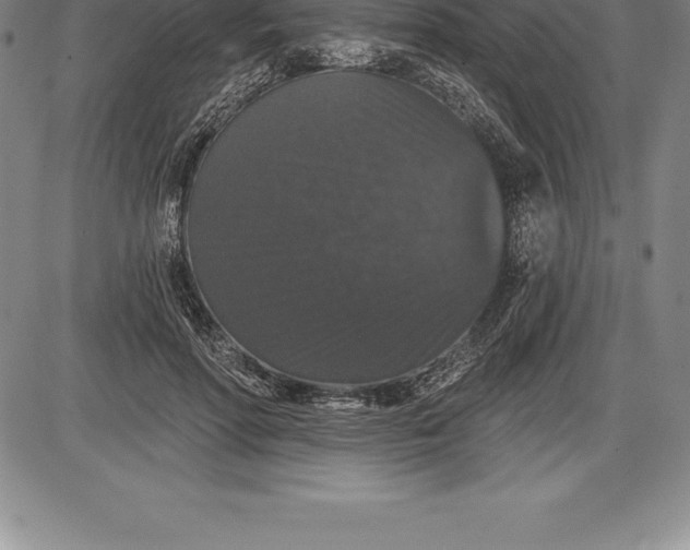 X0000085820598200703301555