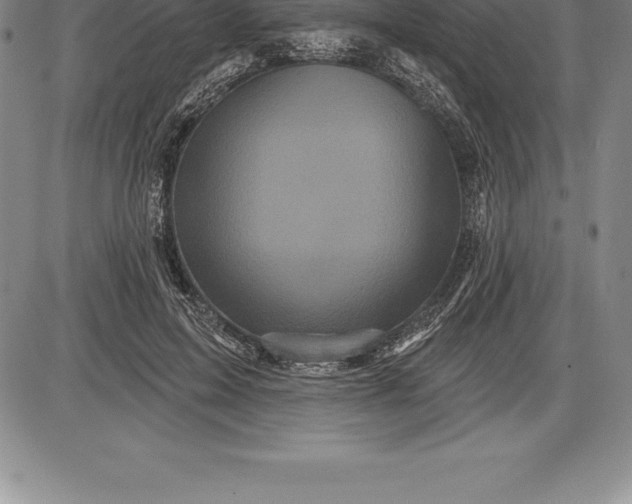 X0000085820599200703301555