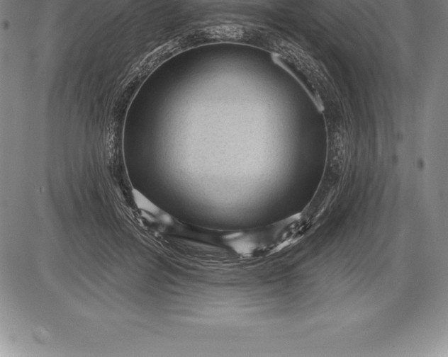 X0000085820600200703301555