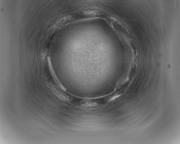 X0000085820601200703301555