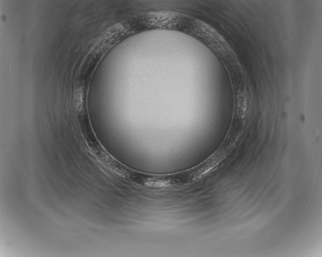 X0000085820602200703301555