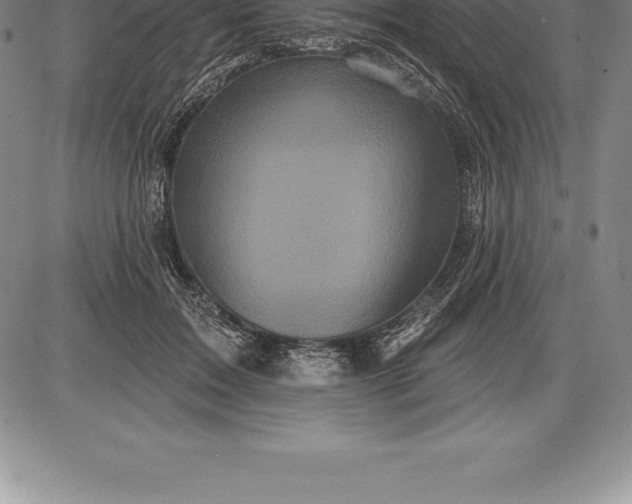 X0000085820603200703301555