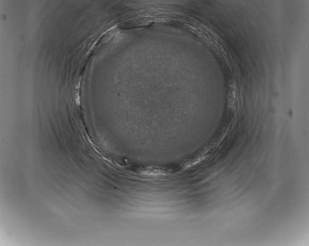 X0000085820604200703301555