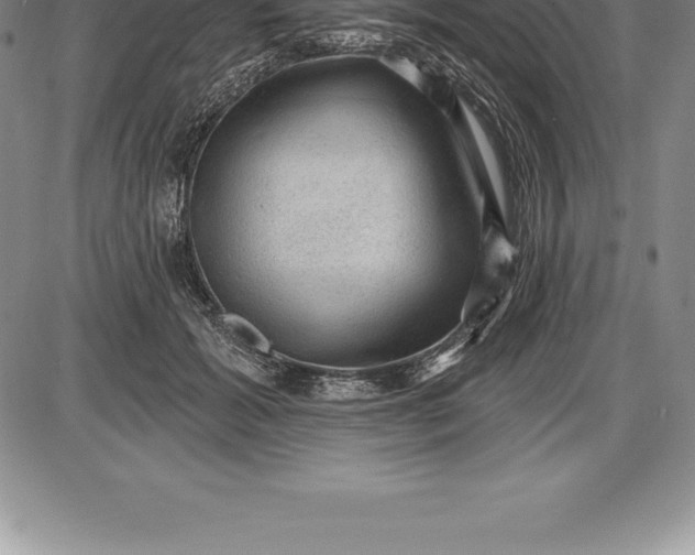 X0000085820605200703301555