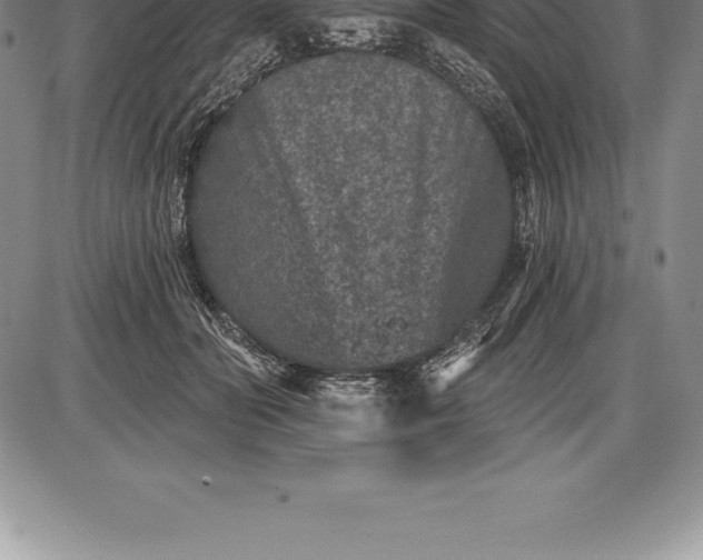 X0000085820606200703301555