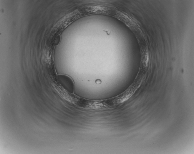 X0000085820607200703301555