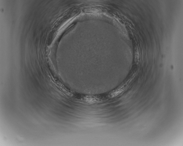 X0000085820608200703301555