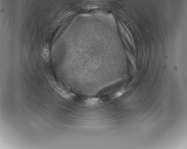 X0000085820609200703301555