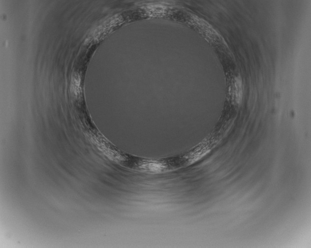 X0000085820610200703301555