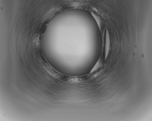 X0000085820611200703301555