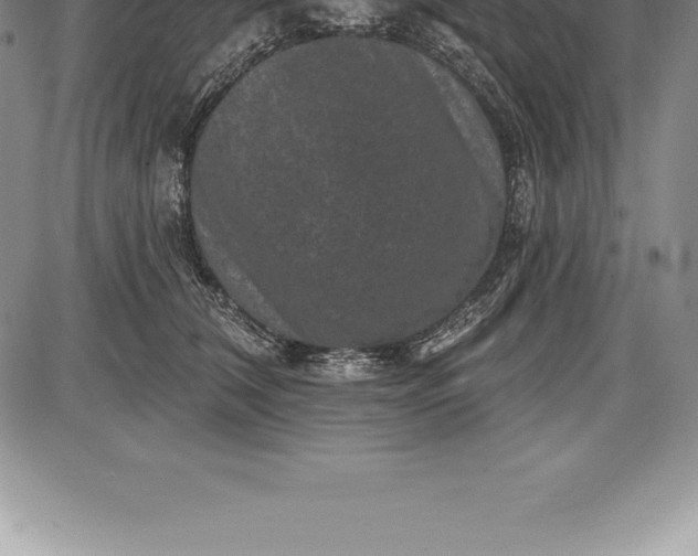 X0000085820612200703301555