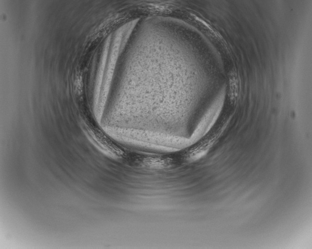 X0000085820613200703301555