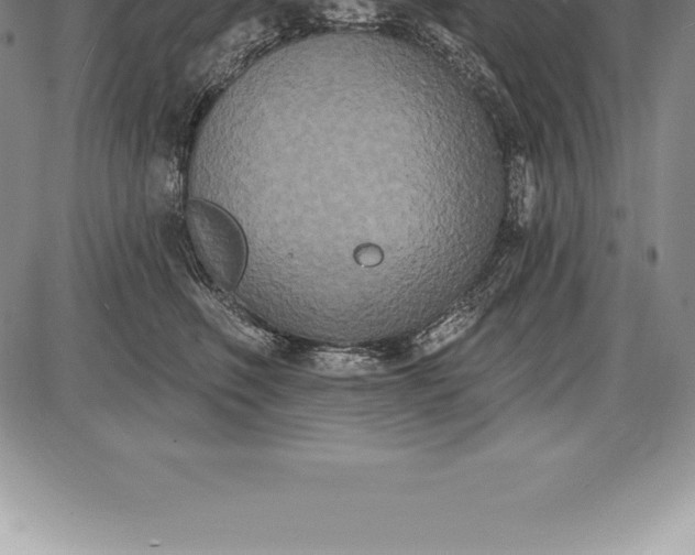 X0000085820614200703301555