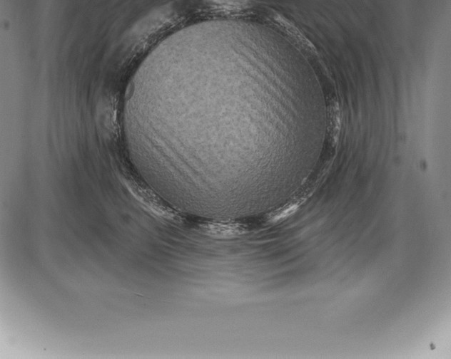 X0000085820615200703301555