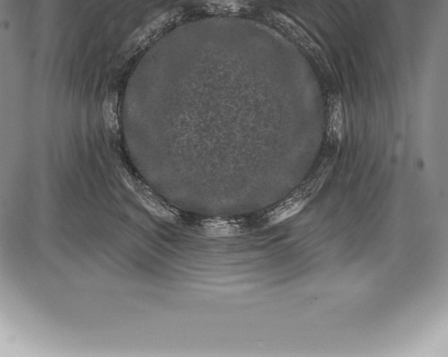 X0000085820616200703301555