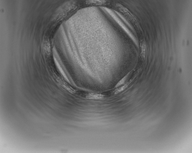 X0000085820617200703301555