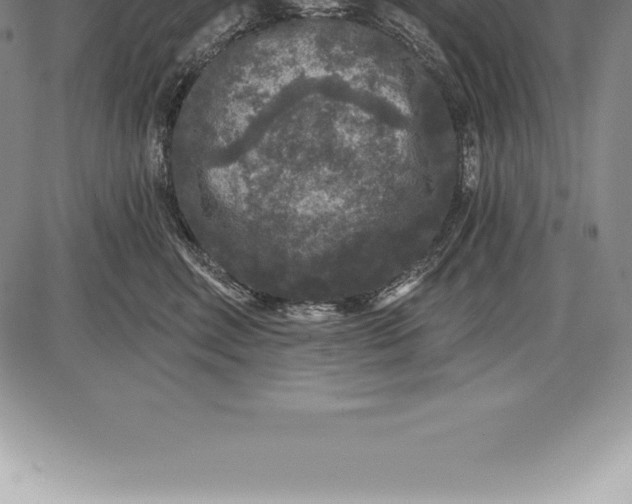 X0000085820618200703301555