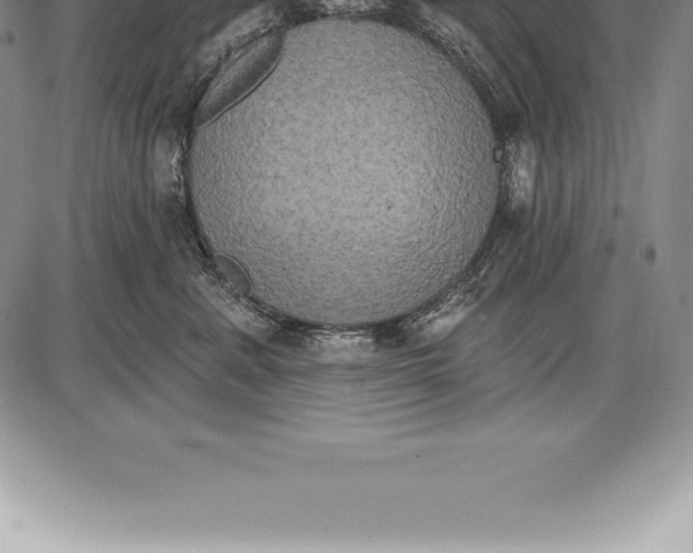 X0000085820619200703301555