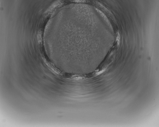 X0000085820620200703301555