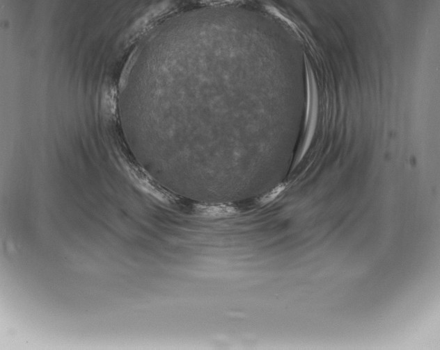 X0000085820621200703301555