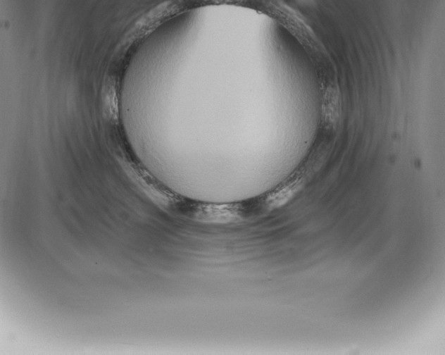 X0000085820622200703301555