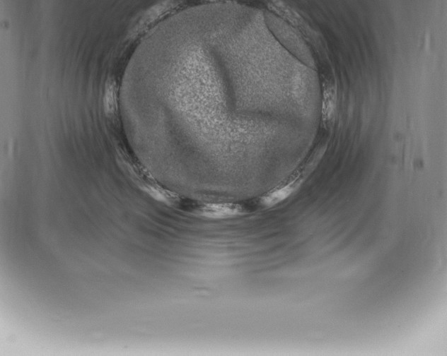 X0000085820623200703301555