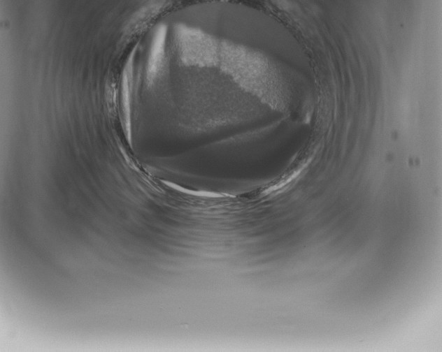 X0000085820624200703301555