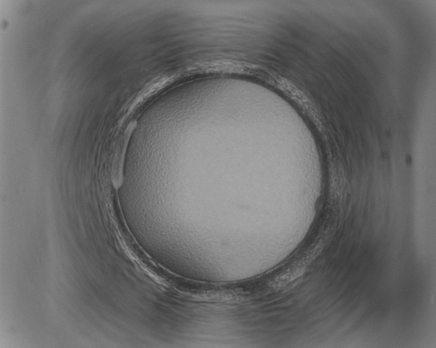 X0000085820625200703301554