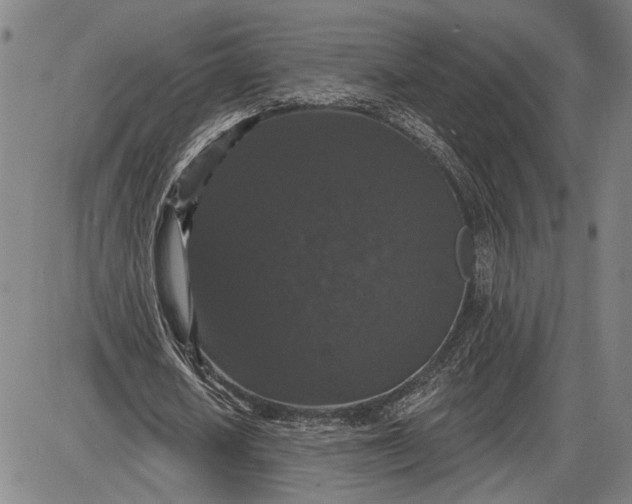 X0000085820626200703301554