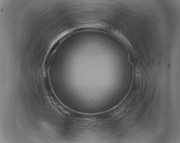 X0000085820628200703301554