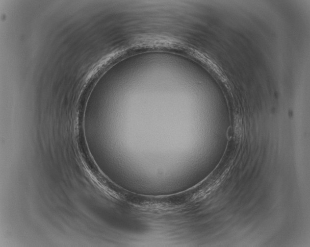 X0000085820629200703301554