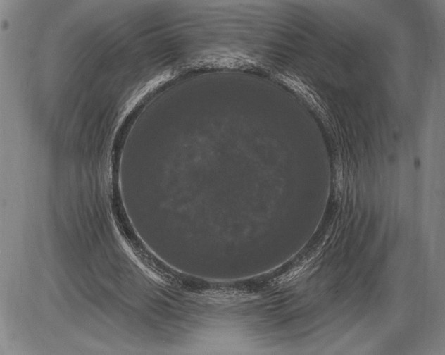 X0000085820630200703301554