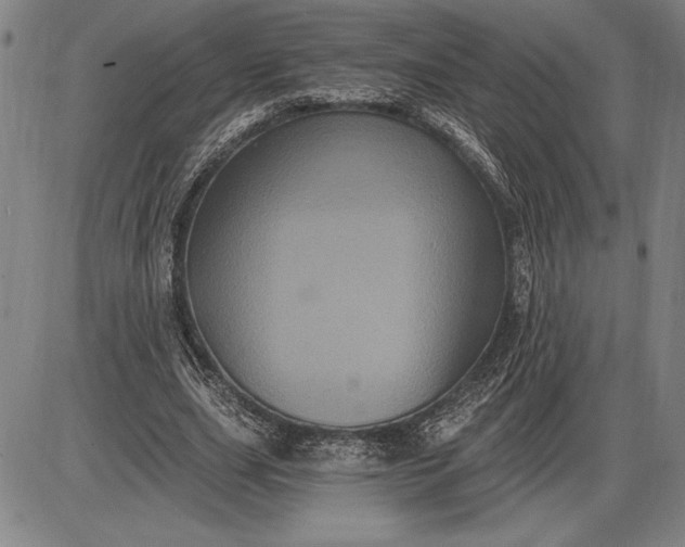 X0000085820631200703301554