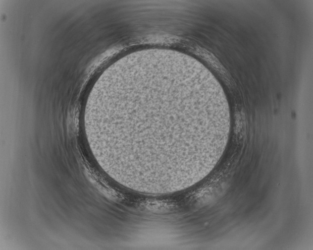 X0000085820632200703301554