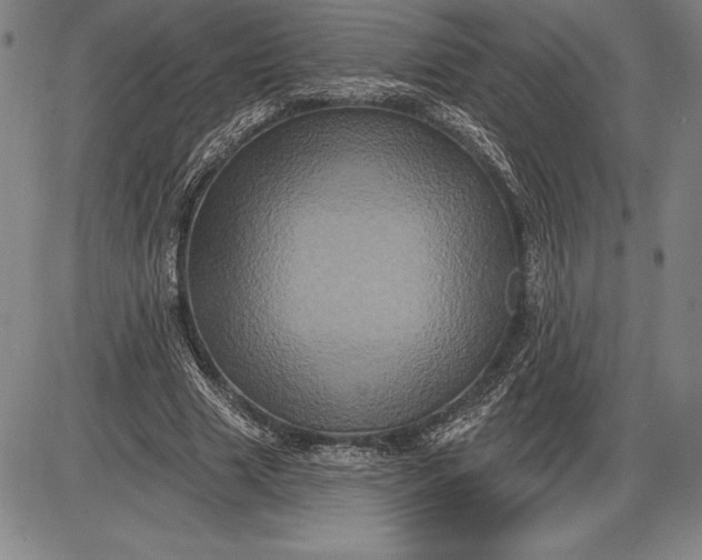 X0000085820633200703301554