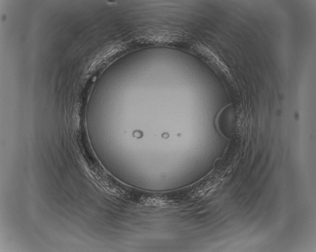 X0000085820635200703301554