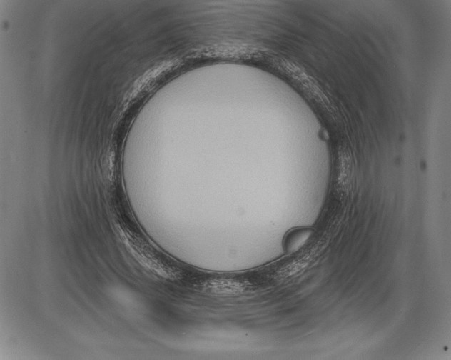 X0000085820636200703301554