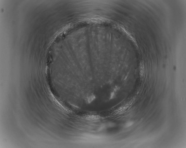 X0000085820637200703301554