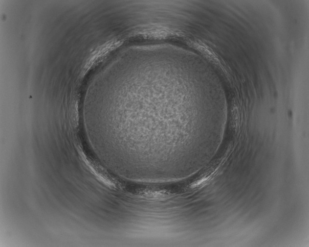 X0000085820638200703301554