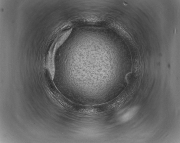 X0000085820639200703301554