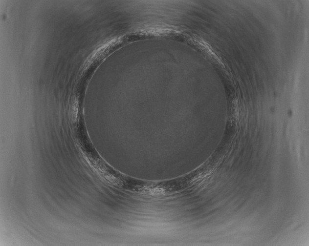 X0000085820640200703301554