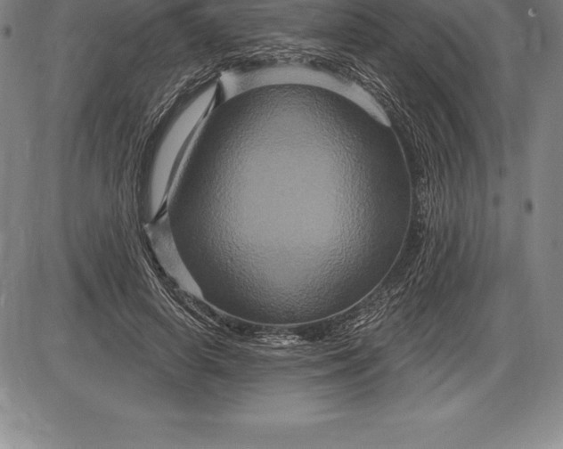 X0000085820642200703301554