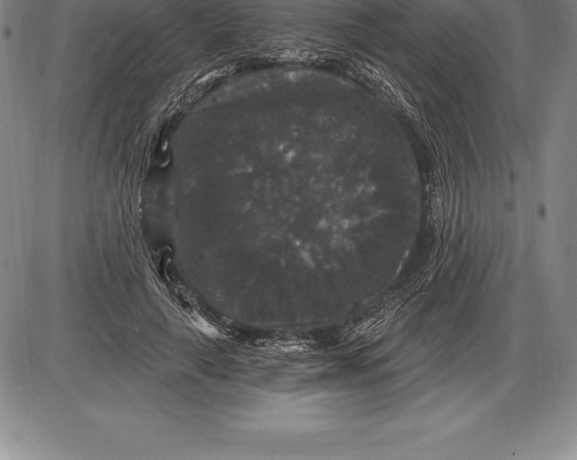 X0000085820643200703301554