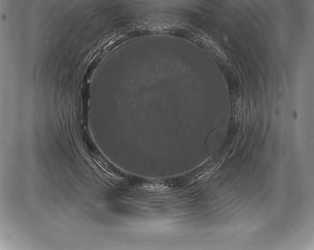 X0000085820644200703301554