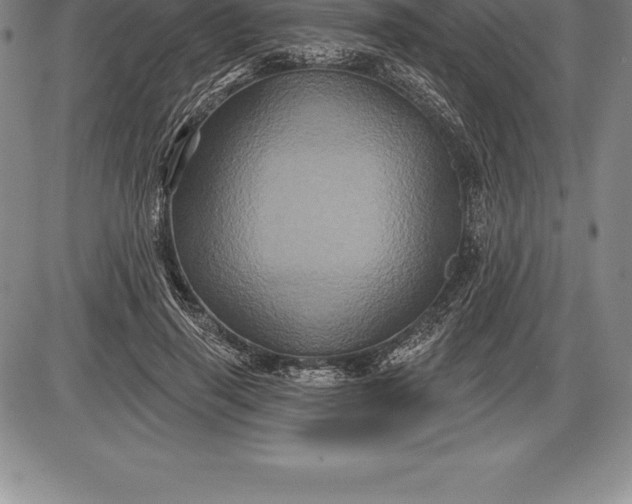 X0000085820645200703301554