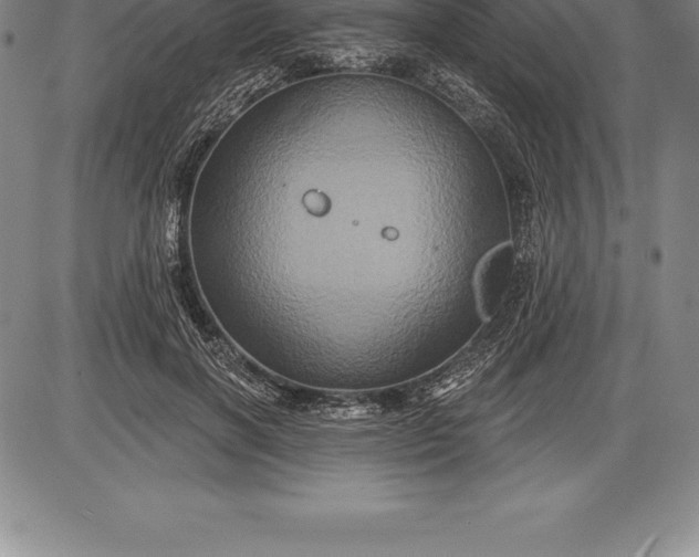 X0000085820646200703301554