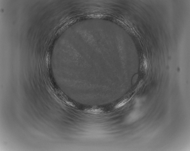 X0000085820647200703301554